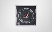 Official NHL Game Pucks